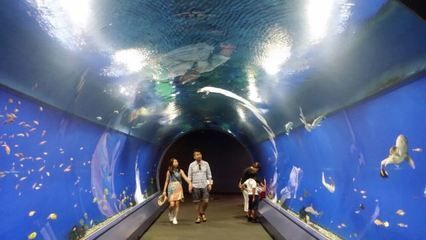 在水族館的英語：全球著名水族館排名,水族館設(shè)計(jì)的創(chuàng)新趨勢創(chuàng)新趨勢 在水族館的英語：全球著名水族館排名,水族館設(shè)計(jì)的創(chuàng)新趨勢創(chuàng)新趨勢 水族館百科（水族館加盟） 第2張
