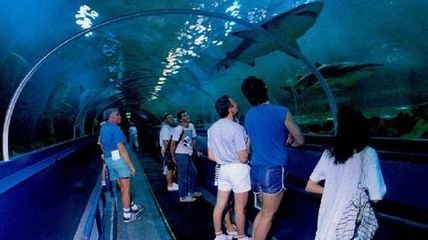 在水族館的英語：全球著名水族館排名,水族館設(shè)計(jì)的創(chuàng)新趨勢創(chuàng)新趨勢 在水族館的英語：全球著名水族館排名,水族館設(shè)計(jì)的創(chuàng)新趨勢創(chuàng)新趨勢 水族館百科（水族館加盟） 第5張