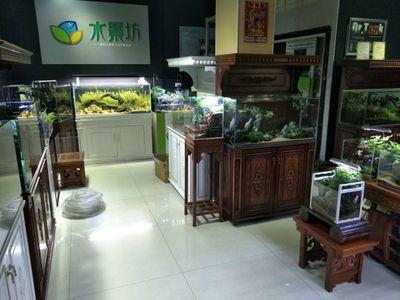 水族館加盟店有哪些好的（水族館加盟店選址技巧）