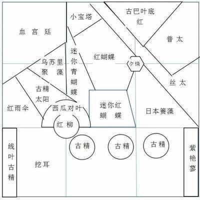 港務區(qū)龍魚vs港務區(qū)水族批發(fā)市場vs港務區(qū)水族館vs港務區(qū)魚缸批發(fā)市場vs祥龍魚場：港務區(qū)龍魚、水族批發(fā)市場、水族館以及祥龍魚場之間的競爭關系
