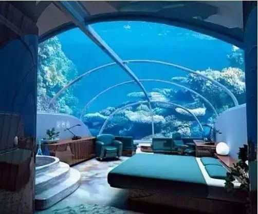 開一家水族館要收多少稅費（開一家水族館需要支付的稅費包括營業(yè)執(zhí)照費、衛(wèi)生許可證費等）