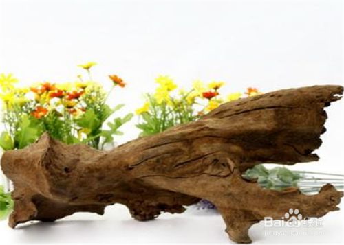 水泥造景能放魚(yú)缸(水泥能放魚(yú)缸嗎)