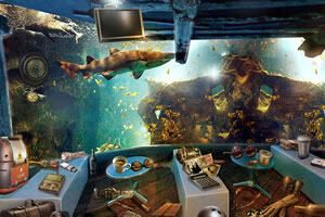 水族館的游戲叫什么（《水族館大全》水族館游戲如何吸引游客策略模擬經營）