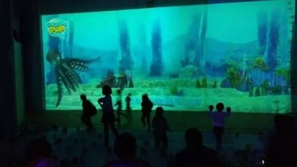水族館的游戲叫什么（《水族館大全》水族館游戲如何吸引游客策略模擬經營）