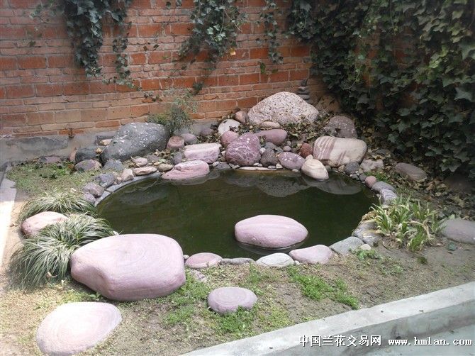 100個(gè)經(jīng)典魚池圖片：庭院設(shè)計(jì)中魚池的設(shè)計(jì)與布局