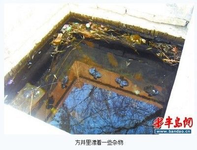 100個(gè)經(jīng)典魚池圖片：庭院設(shè)計(jì)中魚池的設(shè)計(jì)與布局