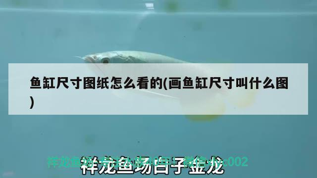 哪種魚(yú)缸過(guò)濾效果好(魚(yú)缸什么過(guò)濾效果最好)