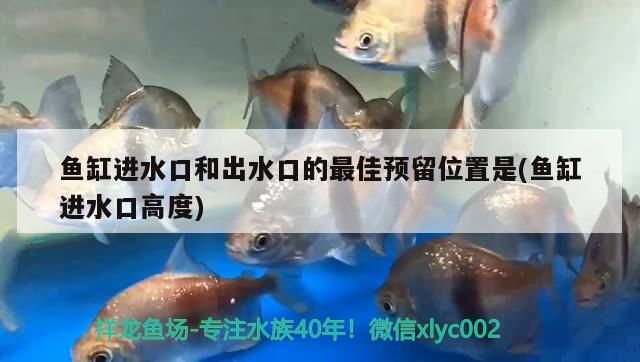 魚缸出水口加長到缸底(魚缸出水口改到缸底)