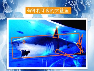 游戲 水族館:《水族館》系列游戲畫面風格對比《輕松水族館》系列游戲 水族館百科(水族館加盟) 第6張 游戲 水族館:《水族館》系列游戲畫面風格對比《輕松水族館》系列游戲 游戲 水族館:《水族館》系列游戲畫面風格對比《輕松水族館》系列游戲 水族館百科(水族館加盟) 第6張