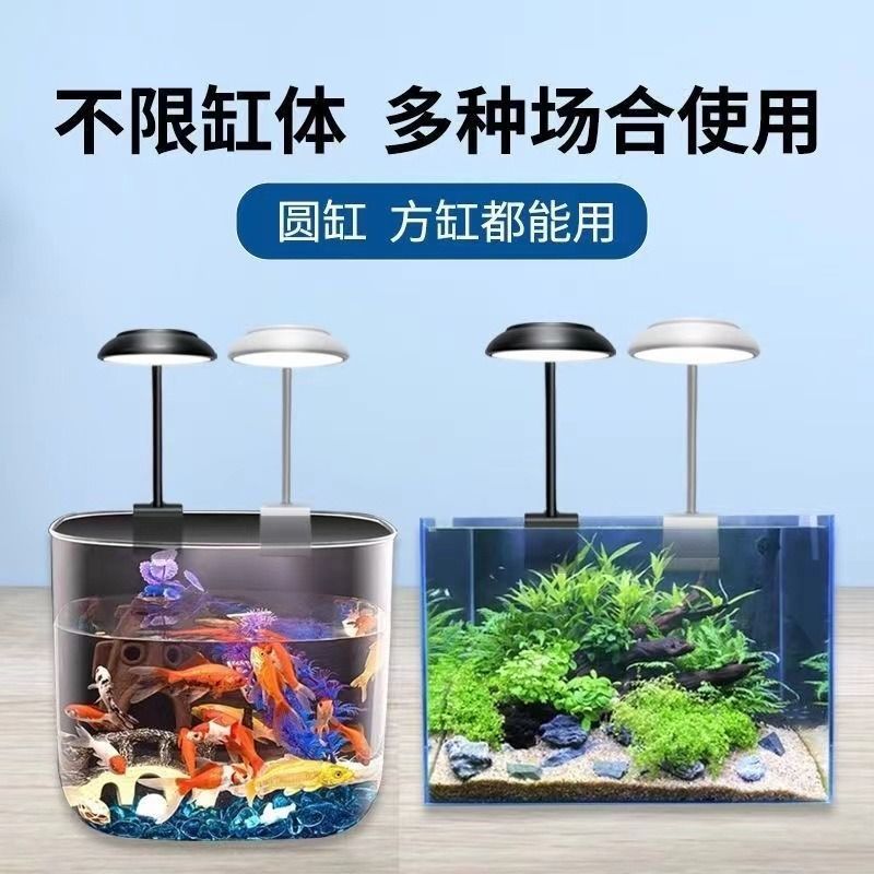 魚缸的缸是什么,如何選擇適合的魚缸 魚缸百科 第4張 魚缸的缸是什么,如何選擇適合的魚缸 魚缸的缸是什么,如何選擇適合的魚缸 魚缸百科 第4張