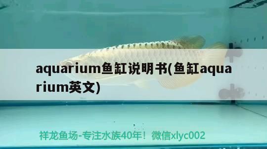 祥龍電器魚缸價格及圖片大全(品牌魚缸find祥龍魚場) vs祥龍魚場 第1張 祥龍電器魚缸價格及圖片大全(品牌魚缸find祥龍魚場) 祥龍電器魚缸價格及圖片大全(品牌魚缸find祥龍魚場) vs祥龍魚場 第1張