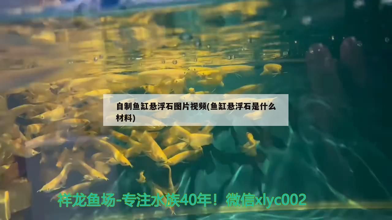 自制魚(yú)缸懸浮石圖片視頻(魚(yú)缸懸浮石是什么材料)