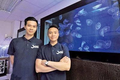 想開個水族館不知道怎么樣：開一個水族館是一個富有挑戰性又具有吸引力的創業項目 想開個水族館不知道怎么樣：開一個水族館是一個富有挑戰性又具有吸引力的創業項目 水族館百科（水族館加盟） 第5張