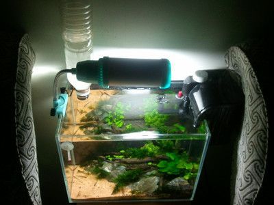 diy魚缸自動補水器怎么用：diy魚缸智能補水器的組成與使用方法 diy魚缸自動補水器怎么用：diy魚缸智能補水器的組成與使用方法 魚缸百科 第4張