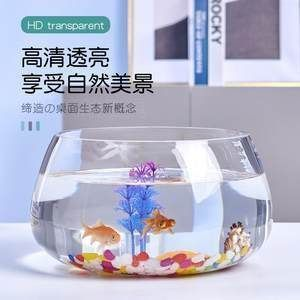 魚缸品牌 知乎，森森魚缸用戶評價匯總亞克力魚缸與玻璃比較超白玻璃魚缸購買指南