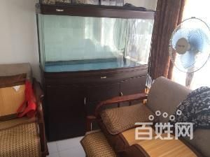 famousglobe魚缸怎么樣：famousglobe魚缸用戶反饋 famousglobe魚缸怎么樣：famousglobe魚缸用戶反饋 魚缸百科 第4張