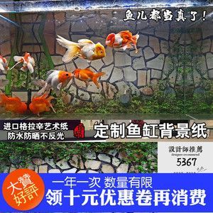 龍魚魚缸壁紙圖片，龍魚魚缸壁紙圖片是什么？