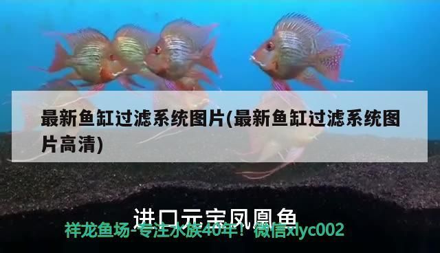 最新魚缸過濾系統圖片(最新魚缸過濾系統圖片高清)