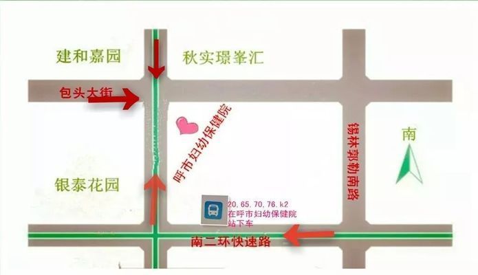 混養龍魚一般多久才能不怕人？馴化時間、影響因素與實用技巧，混養龍魚馴化指南，多久才能不怕人及實用技巧