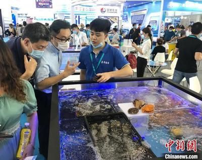 2024年水族展會時間及地點圖片：2024年山東國際寵物水族用品展