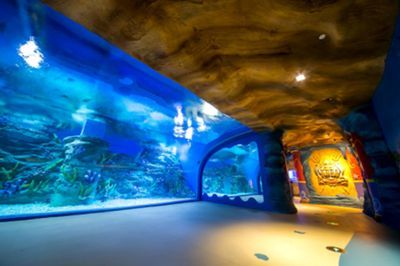 水族館開門了嗎現(xiàn)在（上海海洋水族館全年對外開放具體開放時間為5:30） 水族館開門了嗎現(xiàn)在（上海海洋水族館全年對外開放具體開放時間為5:30） 水族館百科（水族館加盟） 第6張