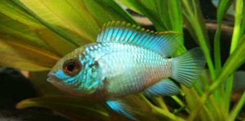 渭南水族維護（渭南水族館）