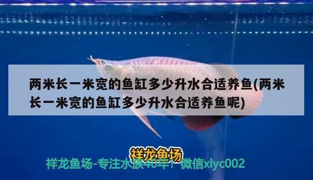 兩米長一米寬的魚缸多少升水合適養魚(兩米長一米寬的魚缸多少升水合適養魚呢)