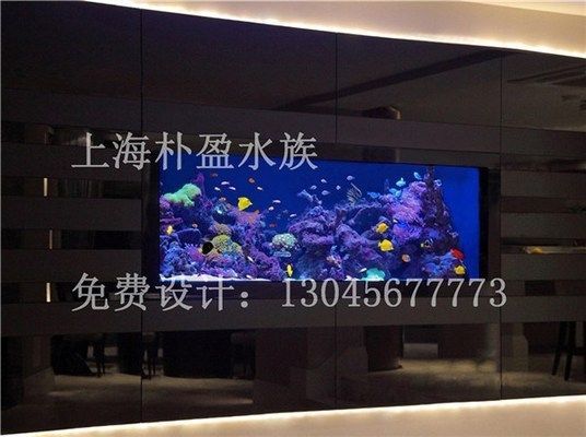 蘭州魚缸定做定制，蘭州魚缸定做哪家口碑好 蘭州魚缸定做定制，蘭州魚缸定做哪家口碑好 魚缸百科 第2張