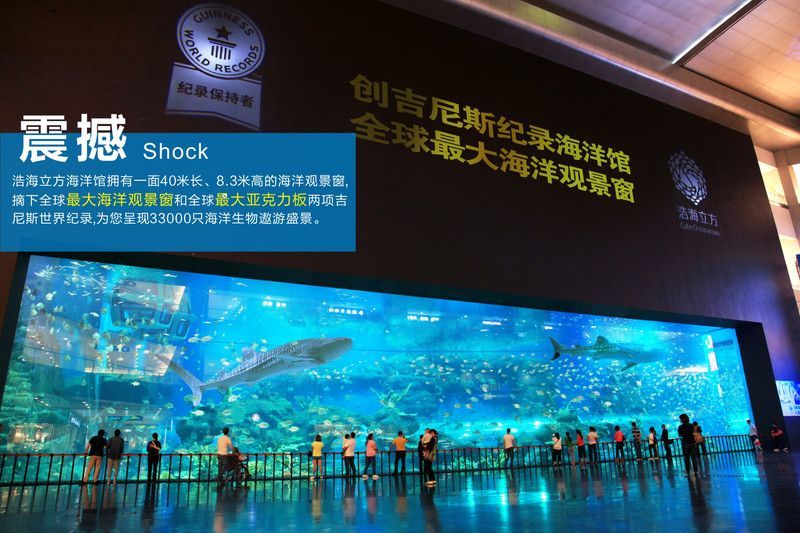 水族館簡介怎么寫（關于水族館的簡介）