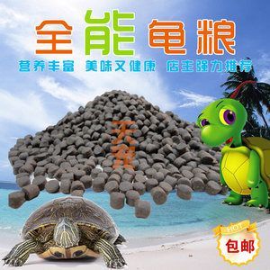 豬鼻龜吃什么飼料好:鄉(xiāng)村鐵事農(nóng)村兒時(shí)捉魚(yú)時(shí)豬鼻龜吃什么飼料好豬鼻龜吃什么好 豬鼻龜百科 第4張 豬鼻龜吃什么飼料好:鄉(xiāng)村鐵事農(nóng)村兒時(shí)捉魚(yú)時(shí)豬鼻龜吃什么飼料好豬鼻龜吃什么好 豬鼻龜吃什么飼料好:鄉(xiāng)村鐵事農(nóng)村兒時(shí)捉魚(yú)時(shí)豬鼻龜吃什么飼料好豬鼻龜吃什么好 豬鼻龜百科 第4張