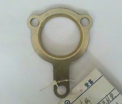 0號元寶鳳凰魚：0號元寶鳳凰魚養殖要點和價格信息