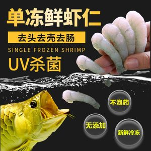 虎魚飼料選擇與消毒方法，虎魚人工飼料品牌推薦,虎魚人工飼料保存方法 虎魚飼料選擇與消毒方法，虎魚人工飼料品牌推薦,虎魚人工飼料保存方法 虎魚百科 第5張