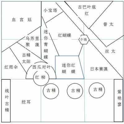 印尼龍魚Suwana是雜牌子嗎？深度解析其市場定位與品質，印尼龍魚Suwana是雜牌嗎？市場定位與品質全面解析