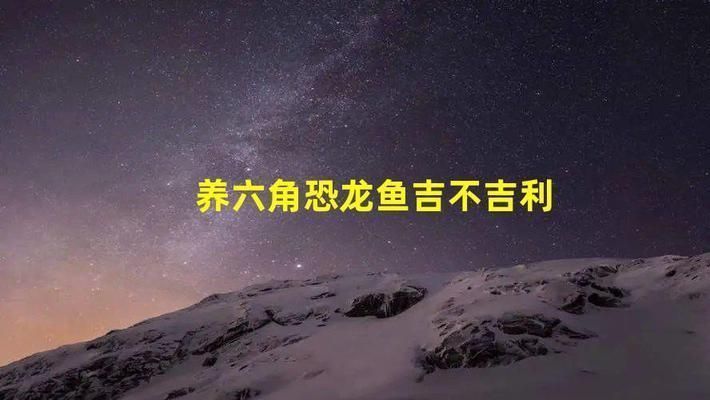 龍魚的飼養(yǎng)方法和注意事項(xiàng)有哪些呢vs祥龍魚場(chǎng)：龍魚的養(yǎng)殖方法和注意事項(xiàng)和注意事項(xiàng)和注意事項(xiàng)和注意事項(xiàng) 龍魚的飼養(yǎng)方法和注意事項(xiàng)有哪些呢vs祥龍魚場(chǎng)：龍魚的養(yǎng)殖方法和注意事項(xiàng)和注意事項(xiàng)和注意事項(xiàng)和注意事項(xiàng) vs祥龍魚場(chǎng) 第25張