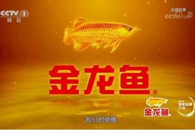 龍魚常備是補什么的？全面解析龍魚營養(yǎng)需求與補充方法，龍魚營養(yǎng)需求全解析，必備補充品及科學(xué)喂養(yǎng)指南
