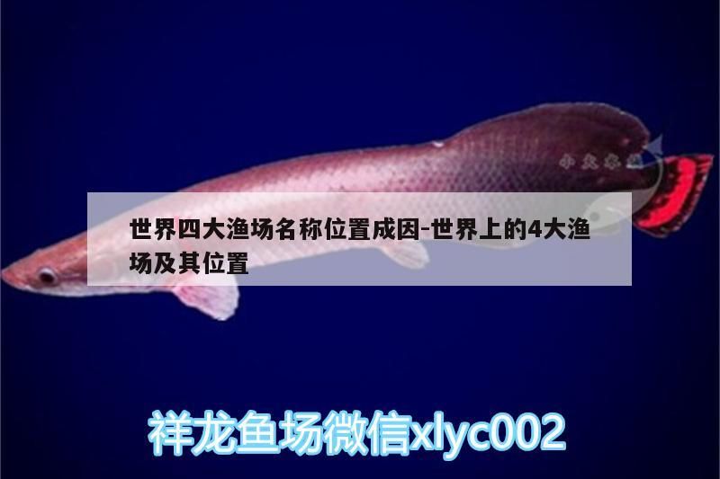 世界四大漁場(chǎng)名稱位置成因:世界上的4大漁場(chǎng)及其位置 世界四大漁場(chǎng)名稱位置成因:世界上的4大漁場(chǎng)及其位置 錦鯉魚(yú)百科 第3張