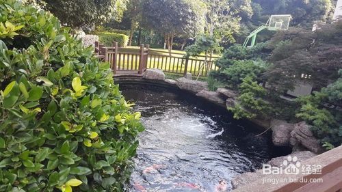 重慶龍魚缸定做廠家電話多少號(hào)：探尋重慶龍魚缸定做廠家及聯(lián)系方式