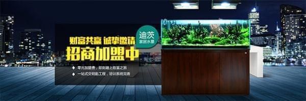 開水族館要投資多少錢一個月：開設一個水族館所需的投資成本概覽