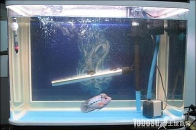 giea魚缸怎么調溫度giea魚缸怎么調溫度(giea魚缸怎么樣)：giea魚缸加熱棒使用注意事項
