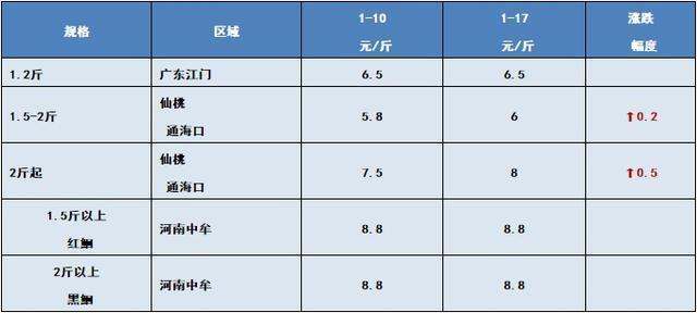 高端龍魚缸品牌有哪些名字