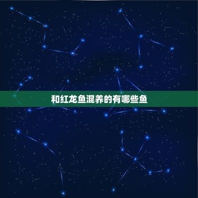 大湖魚紅龍魚能混養嗎圖片:大湖魚紅龍魚與其他魚類混養注意事項紅龍魚混養注意事項 大湖紅龍魚百科 第5張 大湖魚紅龍魚能混養嗎圖片:大湖魚紅龍魚與其他魚類混養注意事項紅龍魚混養注意事項 大湖魚紅龍魚能混養嗎圖片:大湖魚紅龍魚與其他魚類混養注意事項紅龍魚混養注意事項 大湖紅龍魚百科 第5張