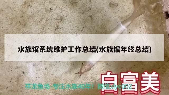 水族館成本多少錢一個月（水族館月度運營成本如何控制）