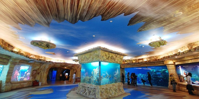 水族館要預(yù)約嗎：上海海洋水族館是否需要預(yù)約