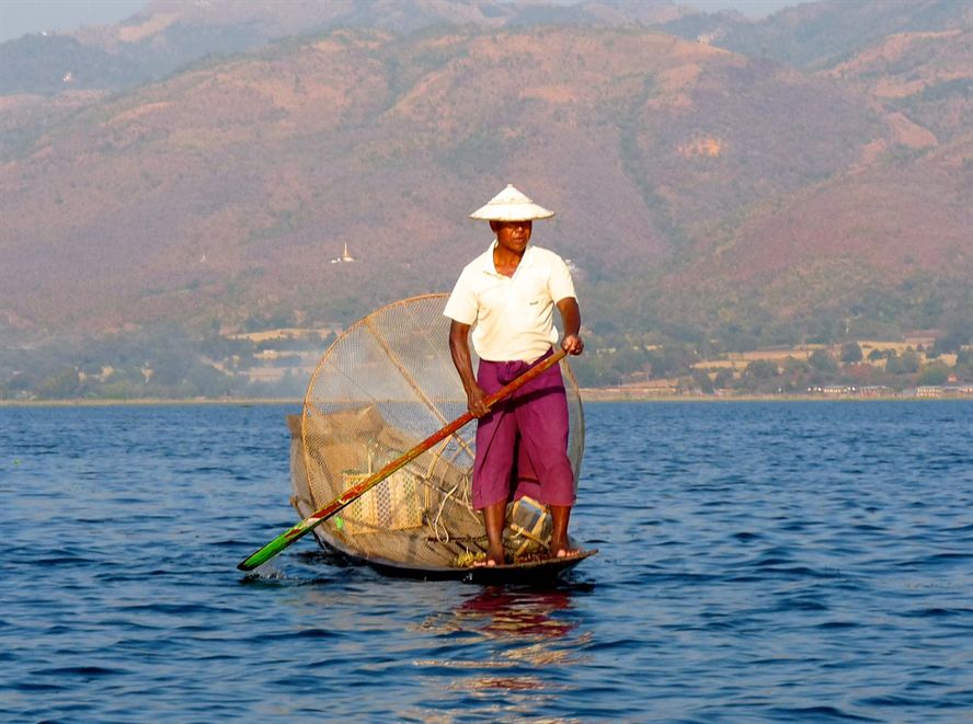 獨特的魚文化（魚文化內容） 獨特的魚文化（魚文化內容） 錦鯉魚百科 第4張