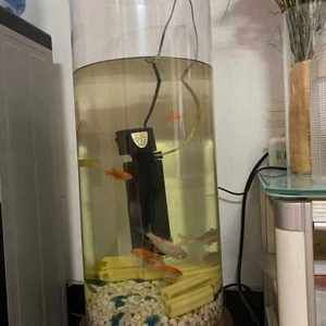 1.2米魚缸用多厚的玻璃管呢：1.2米魚缸玻璃厚度選擇指南