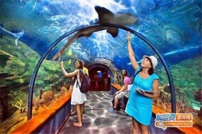 水族館加盟條件及費用多少錢（水族館加盟條件及費用）