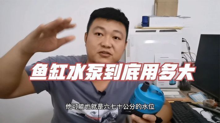 1米魚缸用多大水泵比較好：1米魚缸水泵的選擇