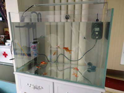 2米魚缸用什么過濾桶：2米長的魚缸選擇合適的過濾器