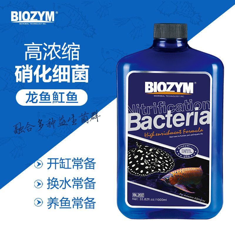 魟魚細菌感染怎么辦：魟魚細菌感染怎么辦[需手動填充]魚細菌感染怎么處理