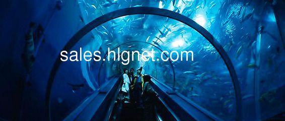 開一個(gè)水族館掙錢嗎現(xiàn)在還能開嗎多少錢：開一個(gè)水族館是否盈利取決于多個(gè)因素取決于多個(gè)因素